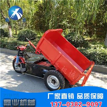 “電動三輪車” 電動三輪車